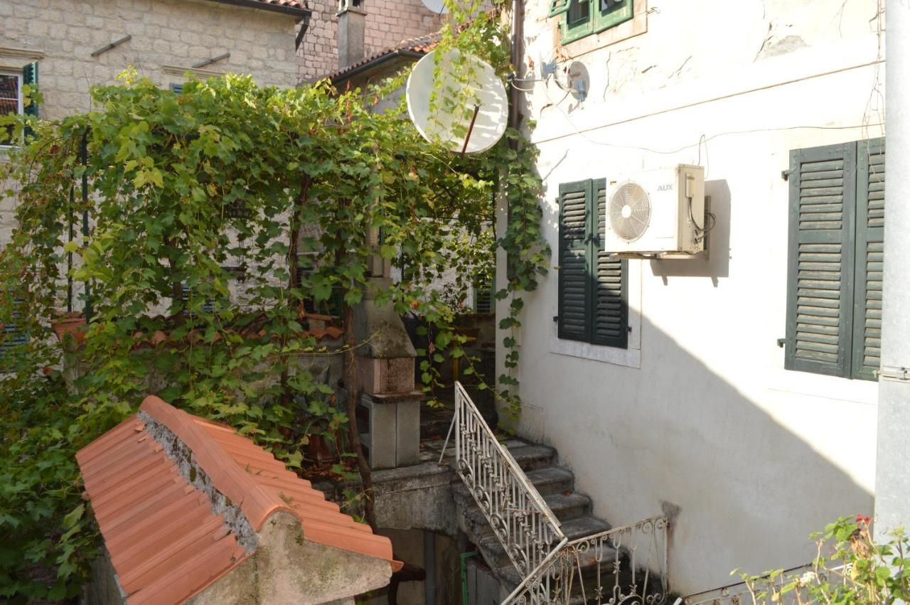 Апартаменты Apartments Leo Котор