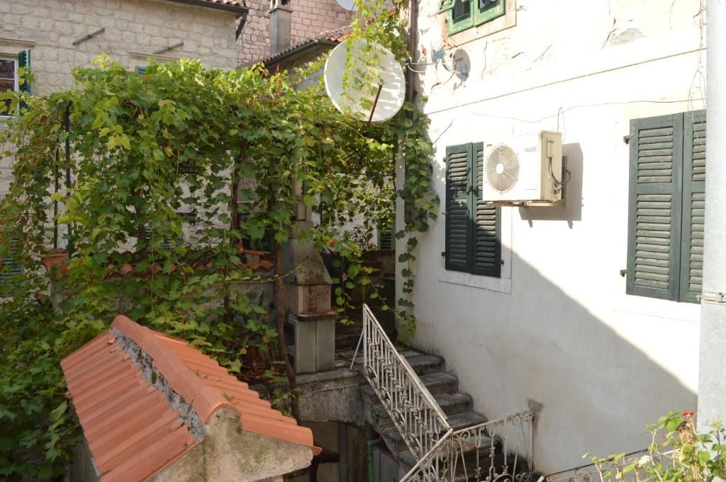 Апартаменты Apartments Leo Котор